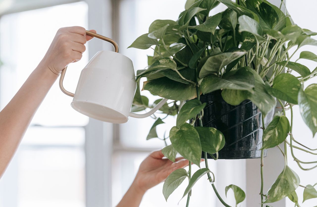 watering-can